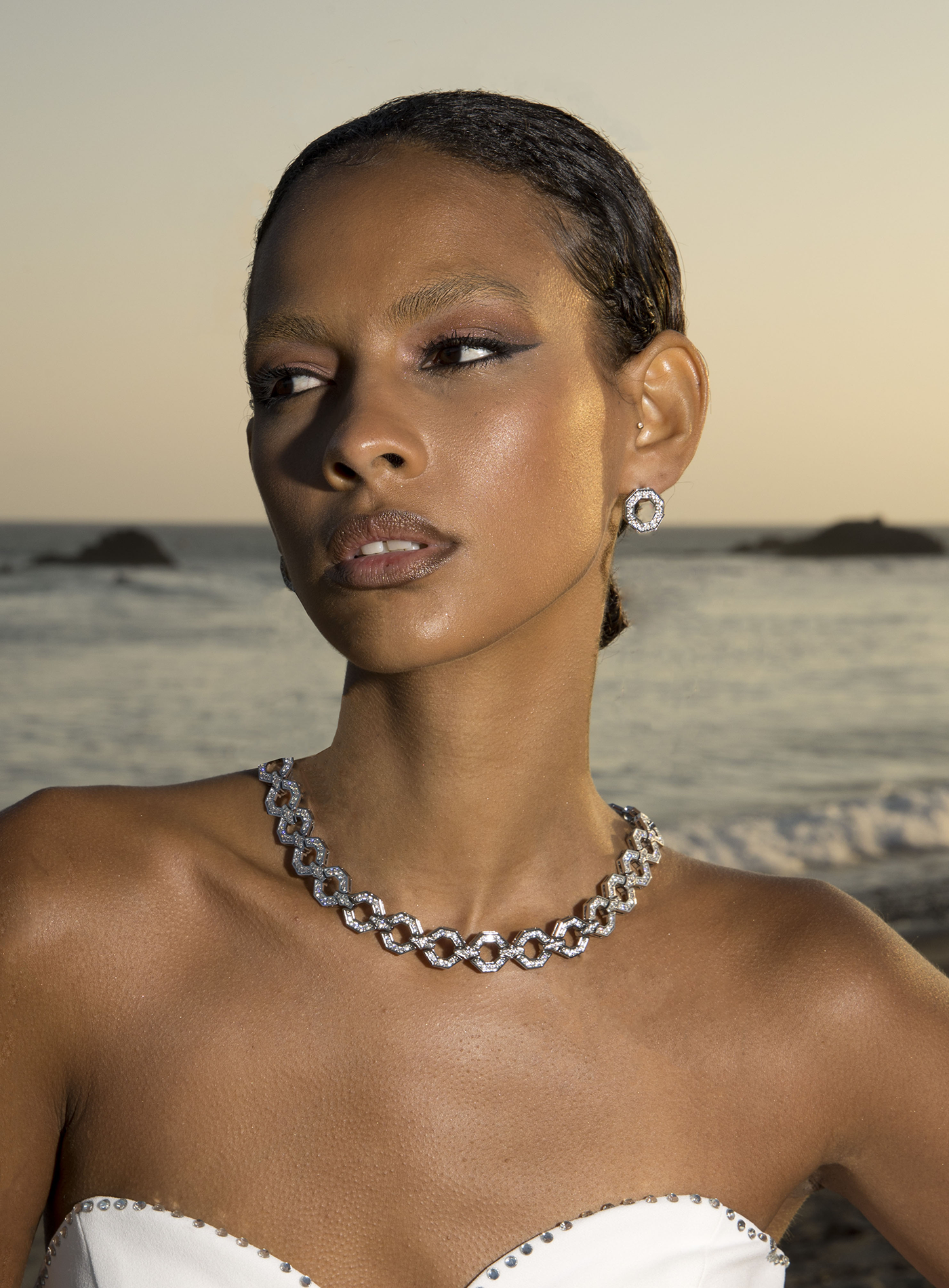 Octagon Choker Necklace in Silver - Elizabeth Laine